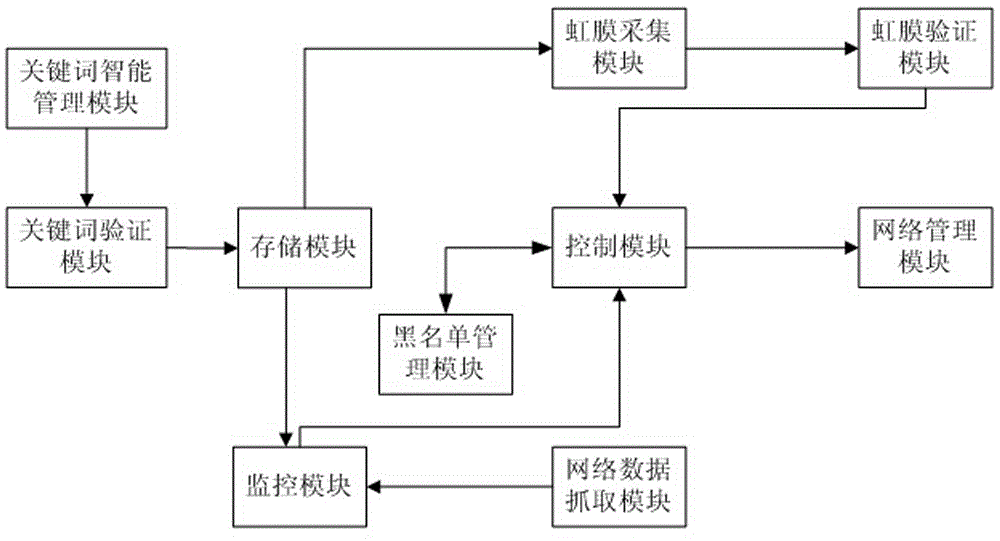 Internet data management system based on iris verification