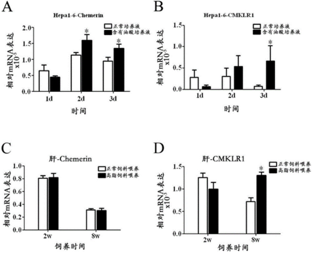 Application of CMKLR1 micromolecule antagonist to control nonalcoholic fatty liver and hepatitis