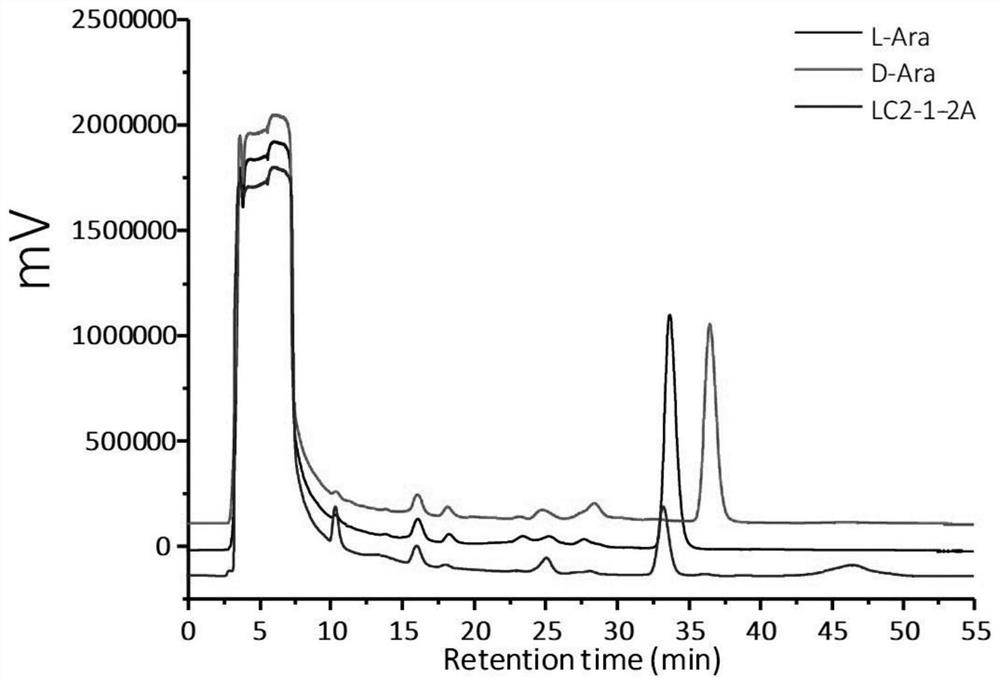 Ligusticum wallichii polysaccharide as well as preparation method, identification method and application thereof