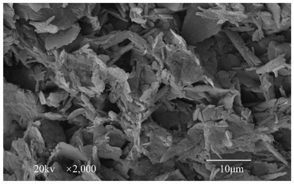 Nano-fiber curing agent for disintegrating carbonaceous mudstone and its preparation and use methods