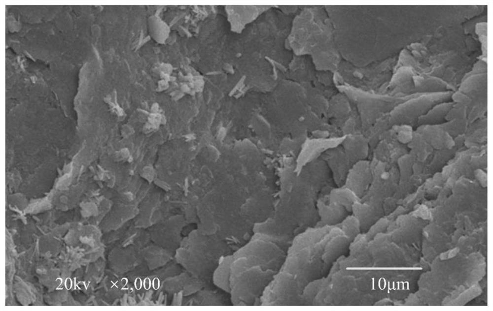 Nano-fiber curing agent for disintegrating carbonaceous mudstone and its preparation and use methods