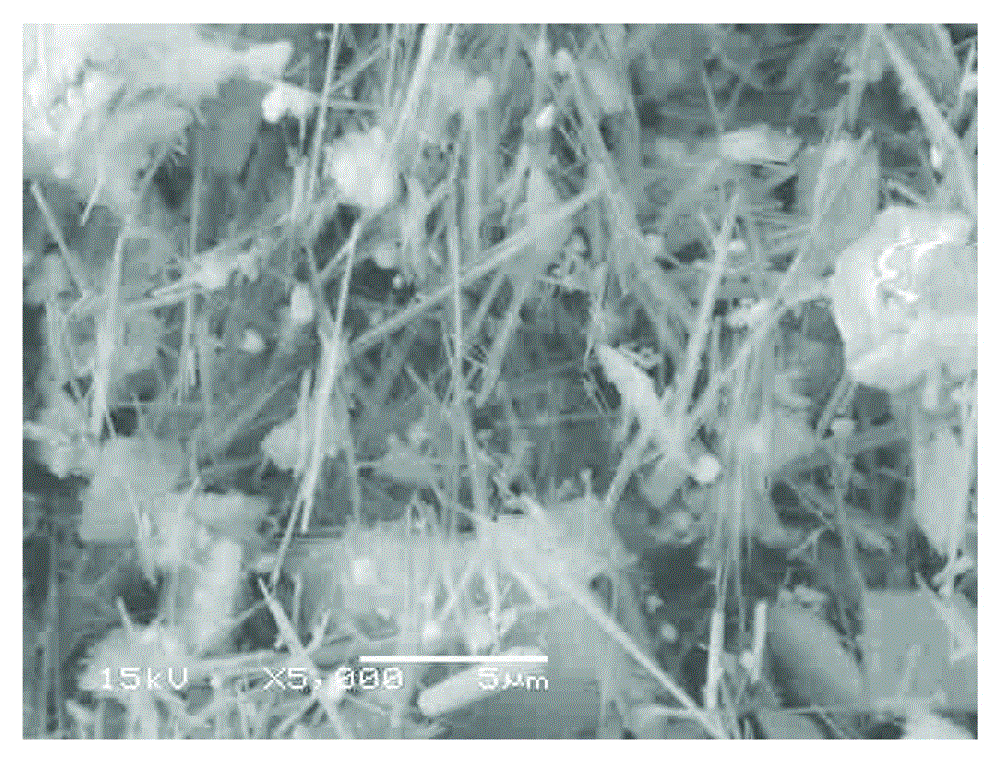 Method for processing vanadium-titanium magnetite concentrate by utilizing calcination, oxidation alkaline leaching, grading and gravity concentration