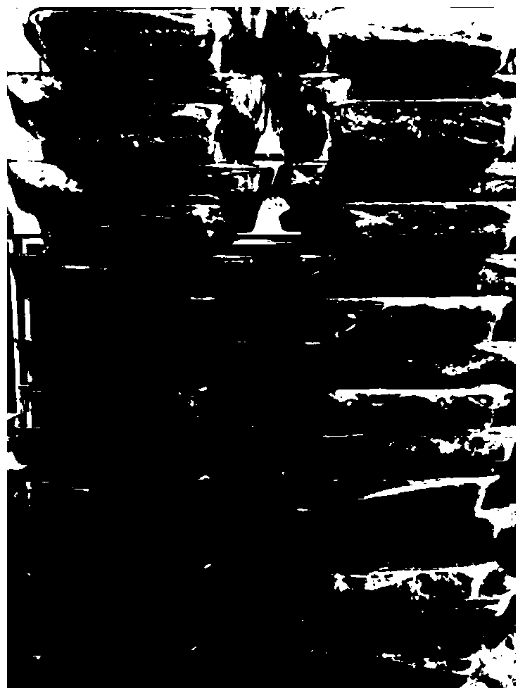 A kind of small-scale Trichoderma solid-state fermentation method