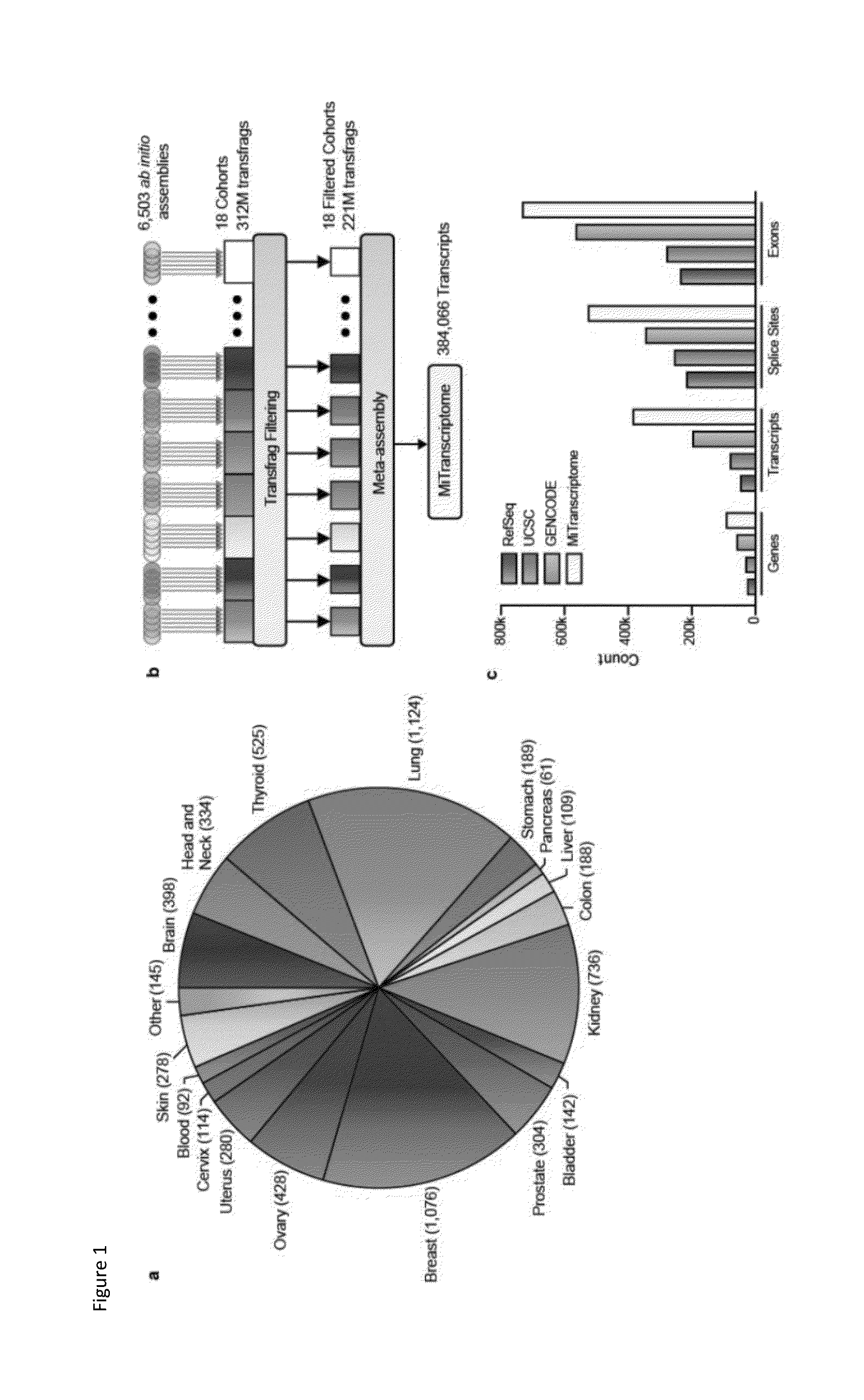 Non-coding rnas and uses thereof
