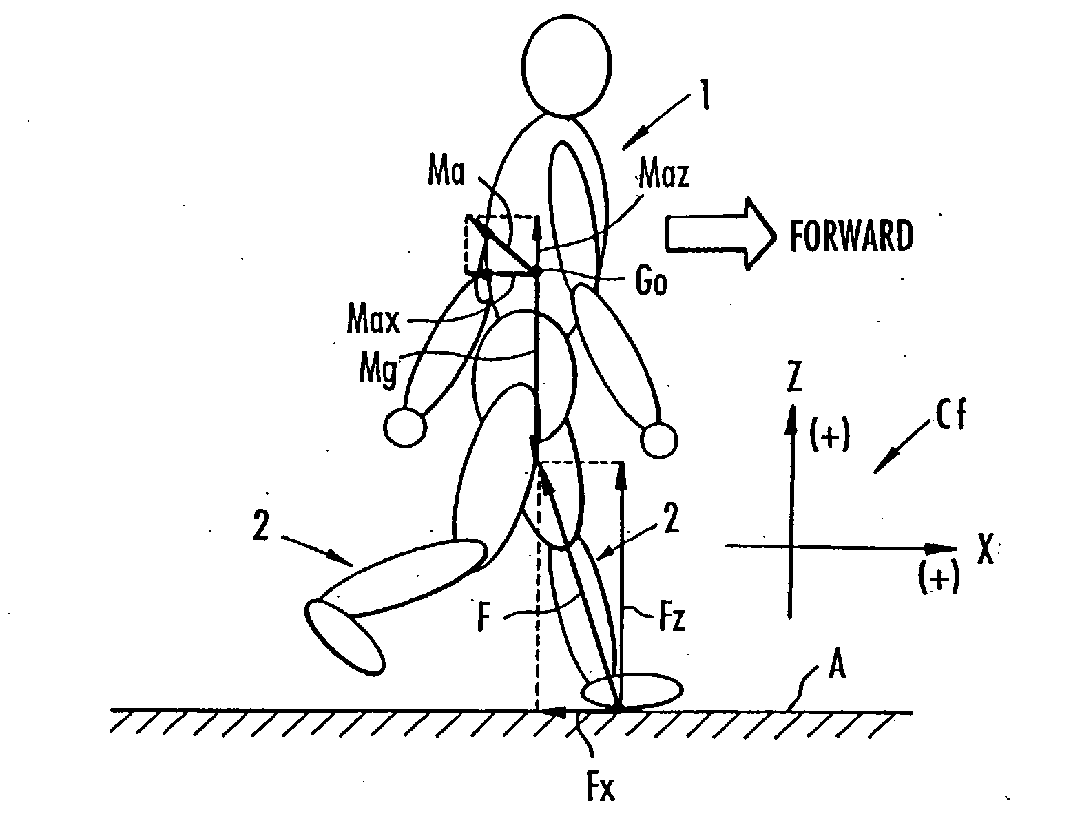 Method of assuming acting point of floor reaction force to biped walking mobile body and method of assuming joint moment of biped walking mobile body