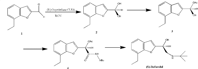Method for preparing optically active (S)-bufuralol by enzyme catalysis