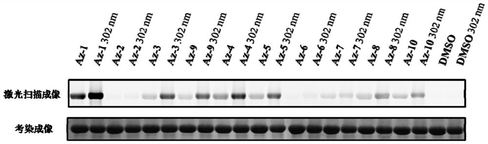 Azacyclopropene compound, and preparation method and application thereof