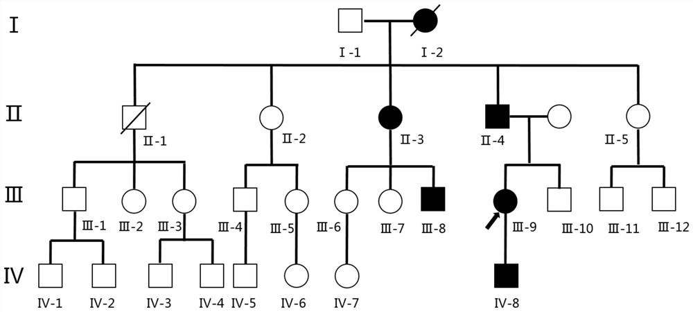 A kind of nucleic acid related to hereditary hearing loss disease and its application