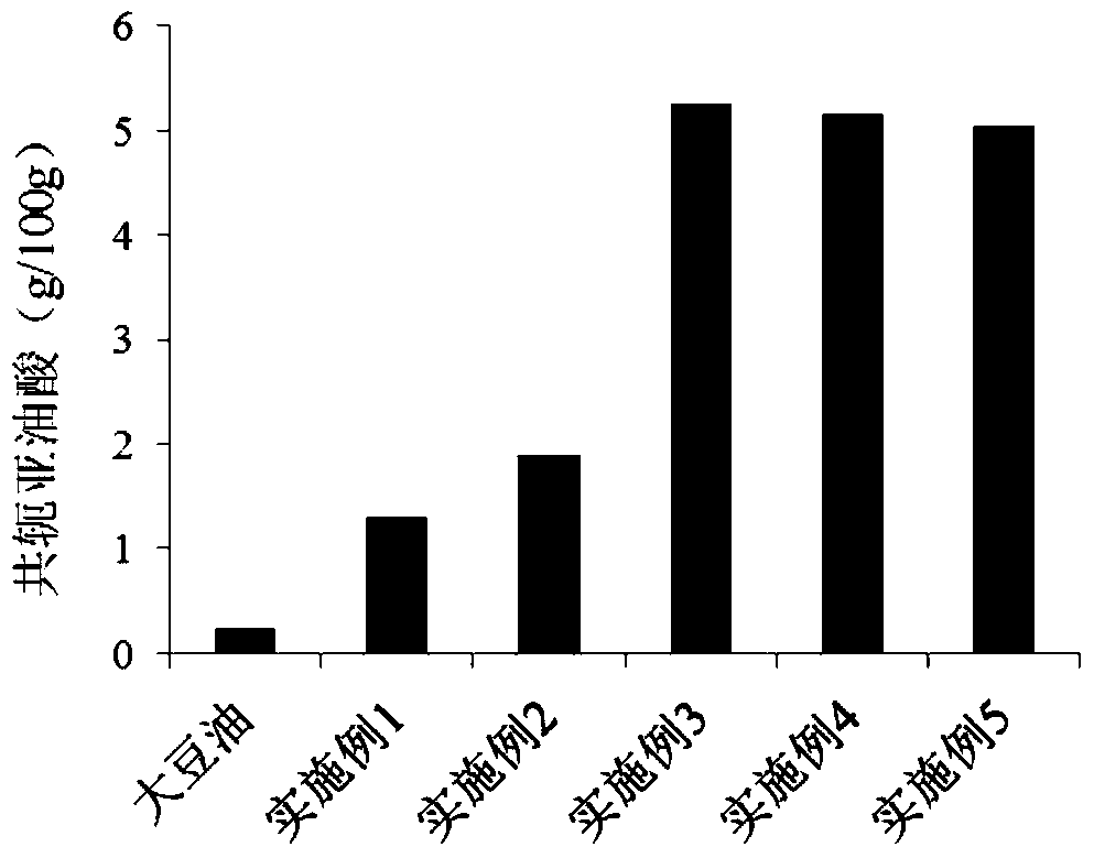 A kind of functional edible oil and preparation method thereof