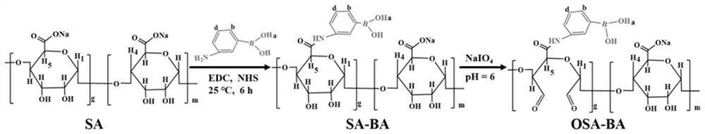 Injectable sodium alginate/polyvinyl alcohol/dopamine-based hydrogel capable of being rapidly recombined in situ