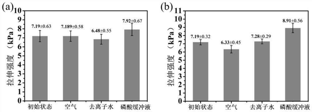 Injectable sodium alginate/polyvinyl alcohol/dopamine-based hydrogel capable of being rapidly recombined in situ