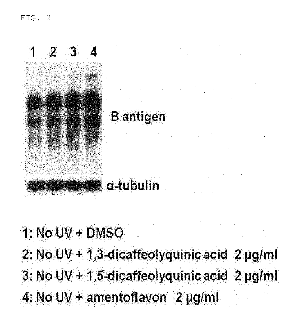 Composition containing substance for regulating expresson of abh antigens