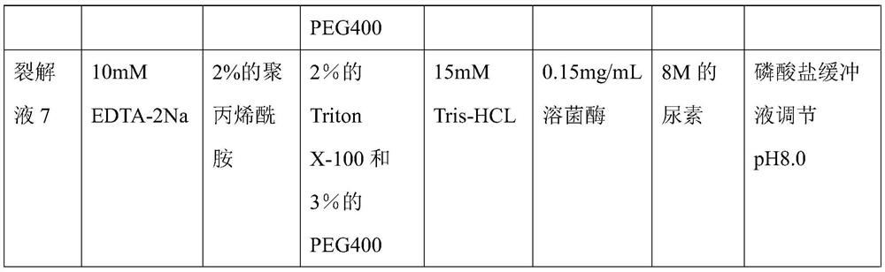 Bacterial nucleic acid extraction lysate as well as preparation method and application thereof