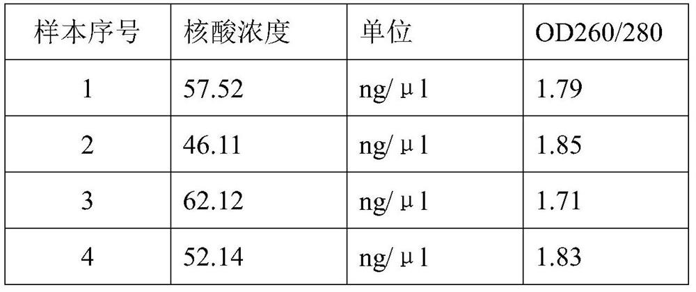 Bacterial nucleic acid extraction lysate as well as preparation method and application thereof