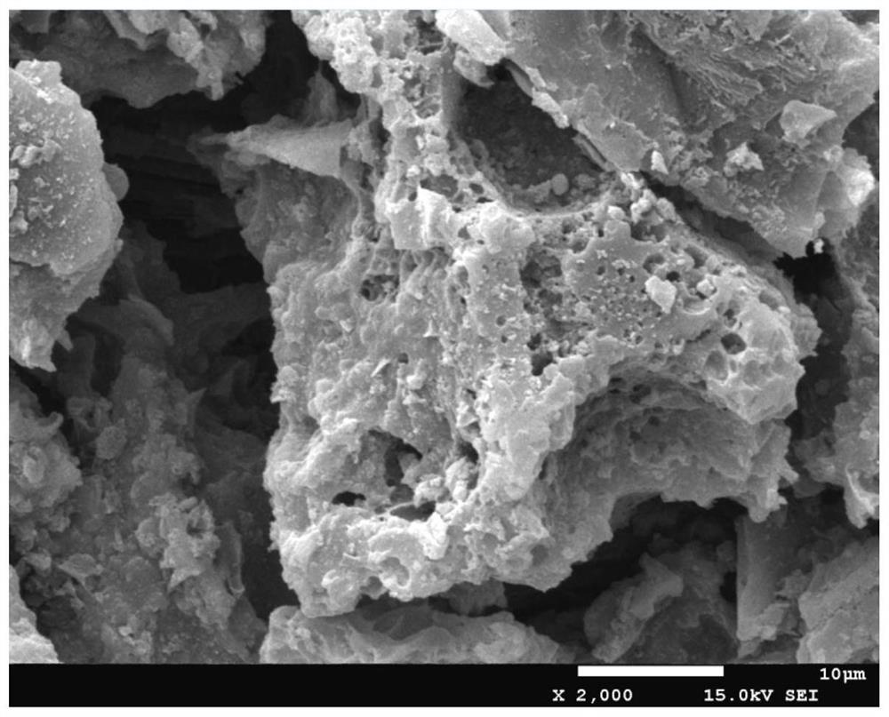 Biomass-based activated carbon-coated iron carbide three-dimensional porous microbial fuel cell anode material, anode and preparation method thereof