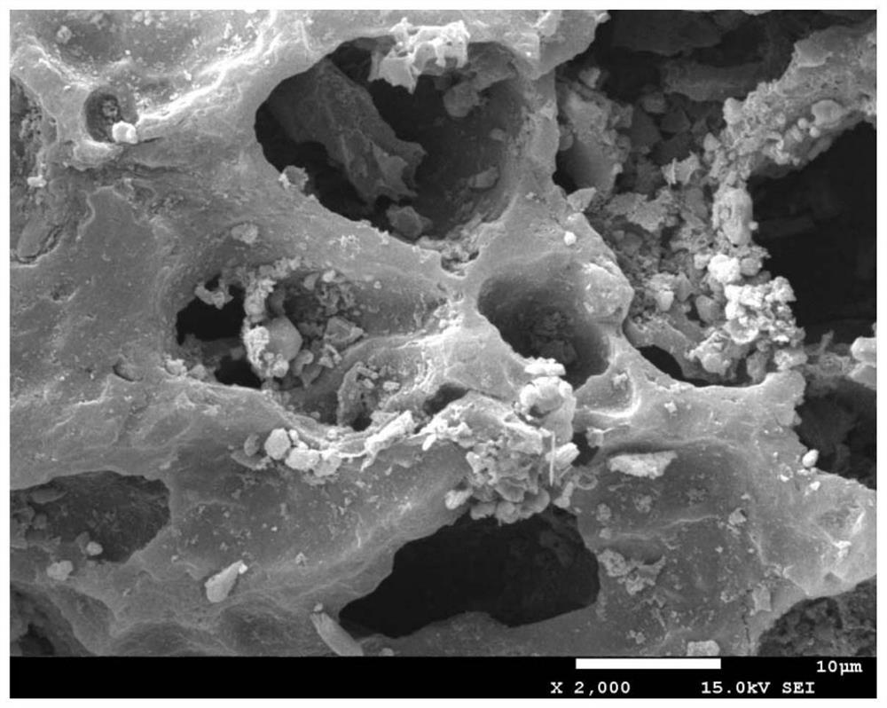 Biomass-based activated carbon-coated iron carbide three-dimensional porous microbial fuel cell anode material, anode and preparation method thereof