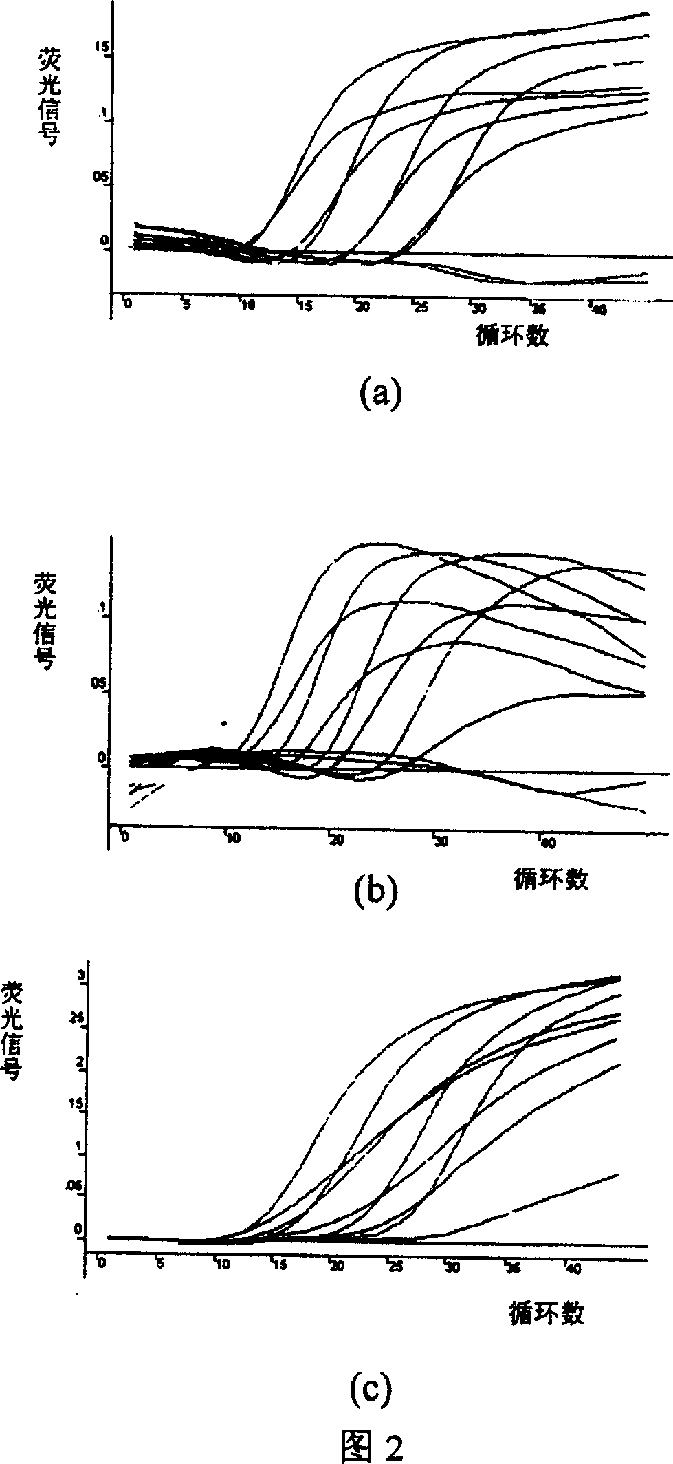 Method of multiplex fluorescence PCR ¿C improved molecule beacon for detecting pathogenesis bacterium stemmed from eating source
