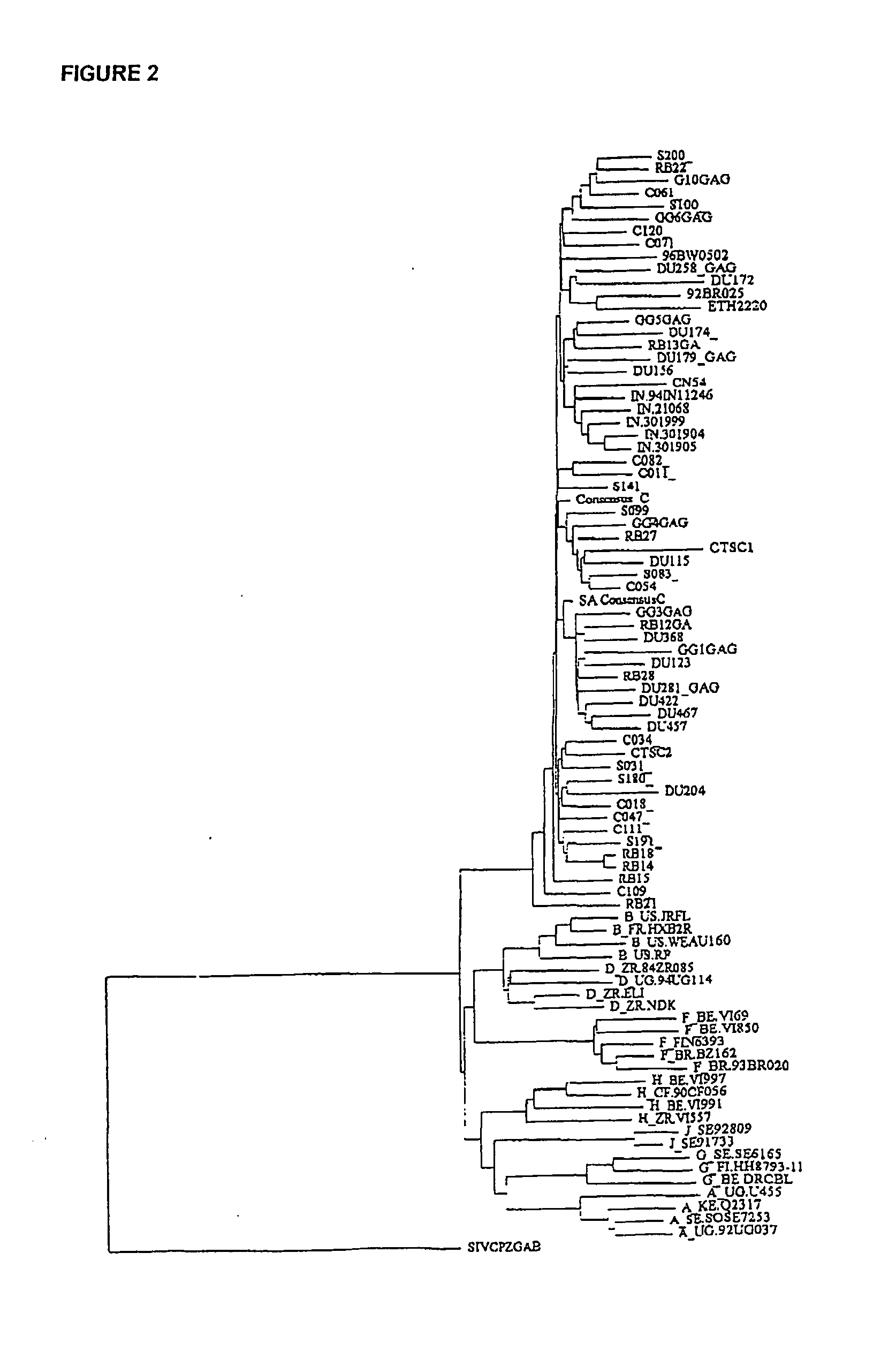 process for the selection of HIV-1 subtype C isolates, selected HIV-1 subtype isolates, their genes and modifications and derivatives thereof