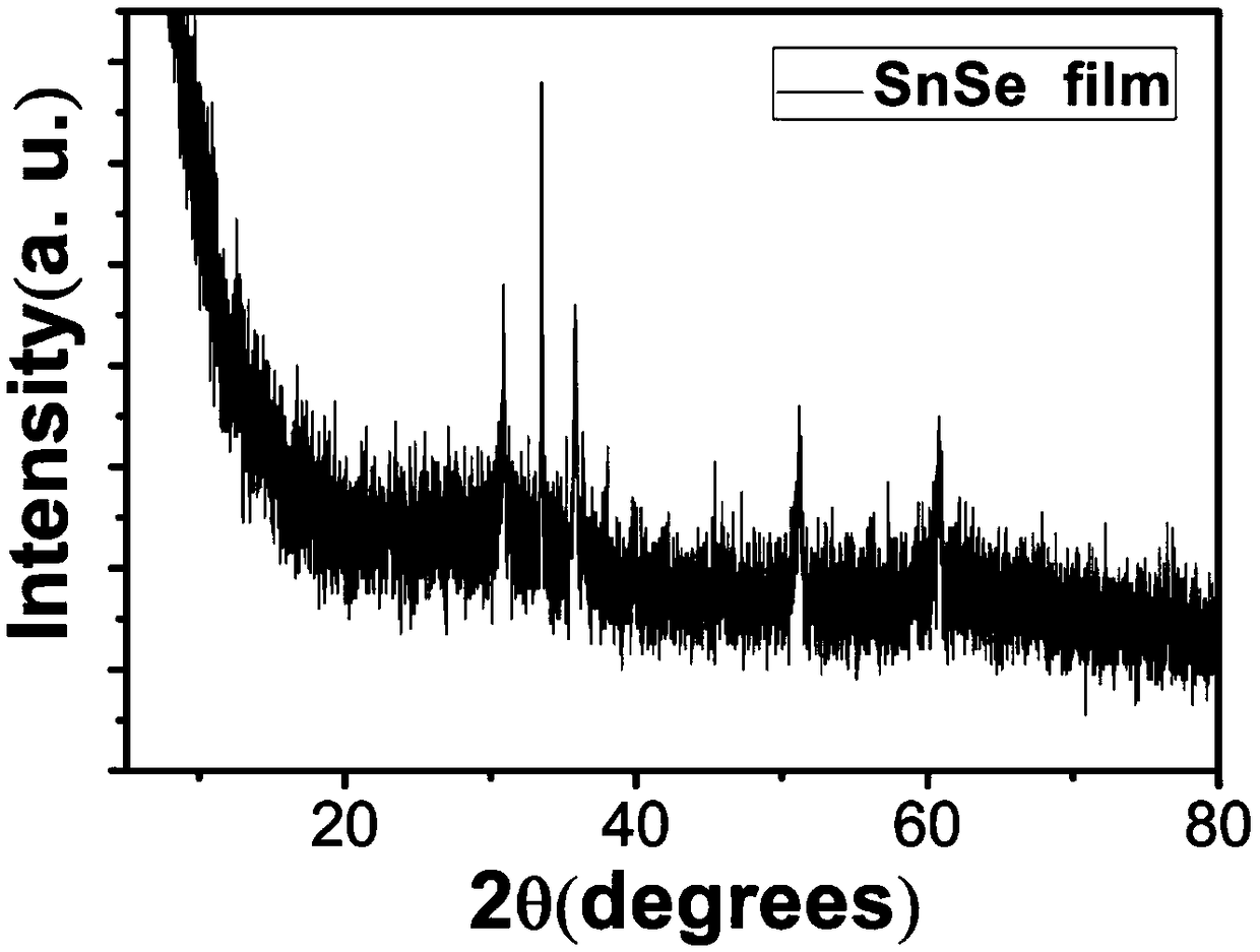 Tin selenide thin film and preparation method thereof