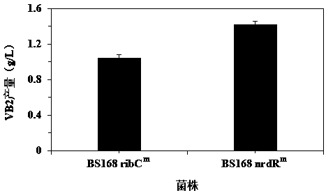 Ribonucleotide reductase transcription inhibitor mutant, mutant gene and its application in the preparation of vitamin b2