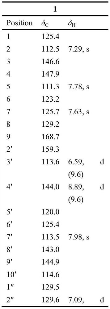 Amidolignan compound in limonium latifolium root as well as preparation method and application thereof