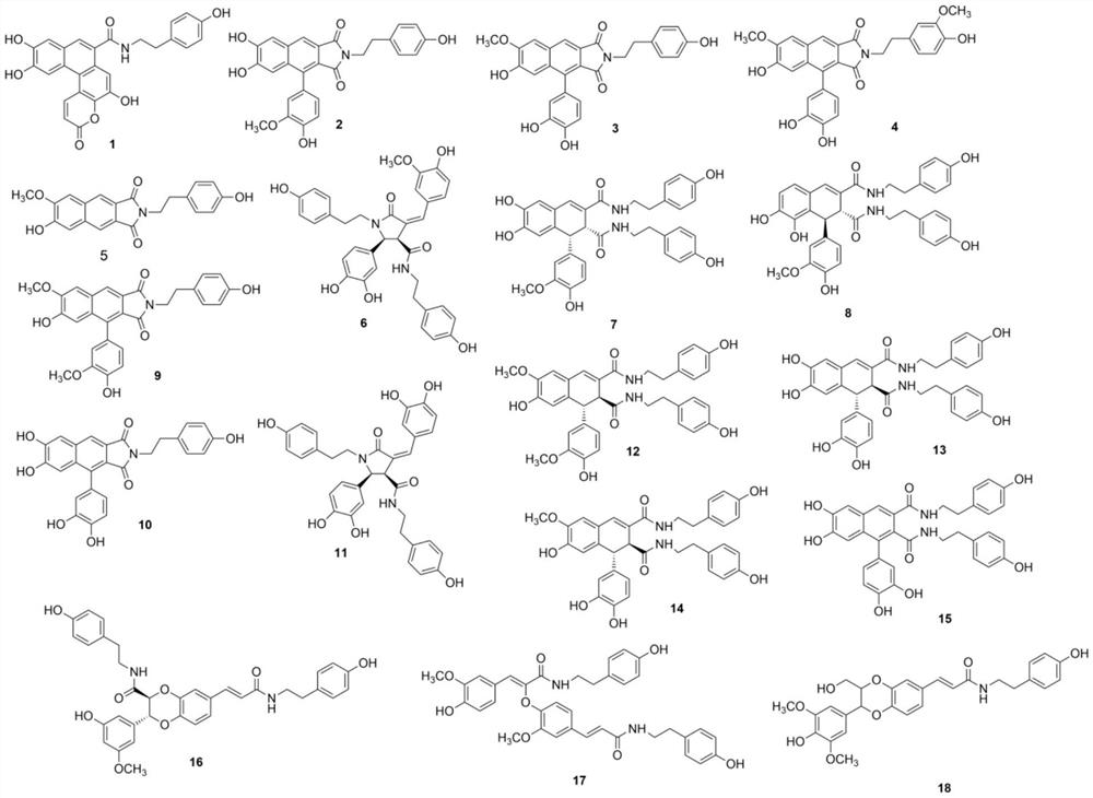 Amidolignan compound in limonium latifolium root as well as preparation method and application thereof