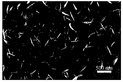 Preparation method of titanium alloy substrate composite material with excellent detection performances on hydrogen peroxide