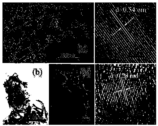 Preparation method of titanium alloy substrate composite material with excellent detection performances on hydrogen peroxide