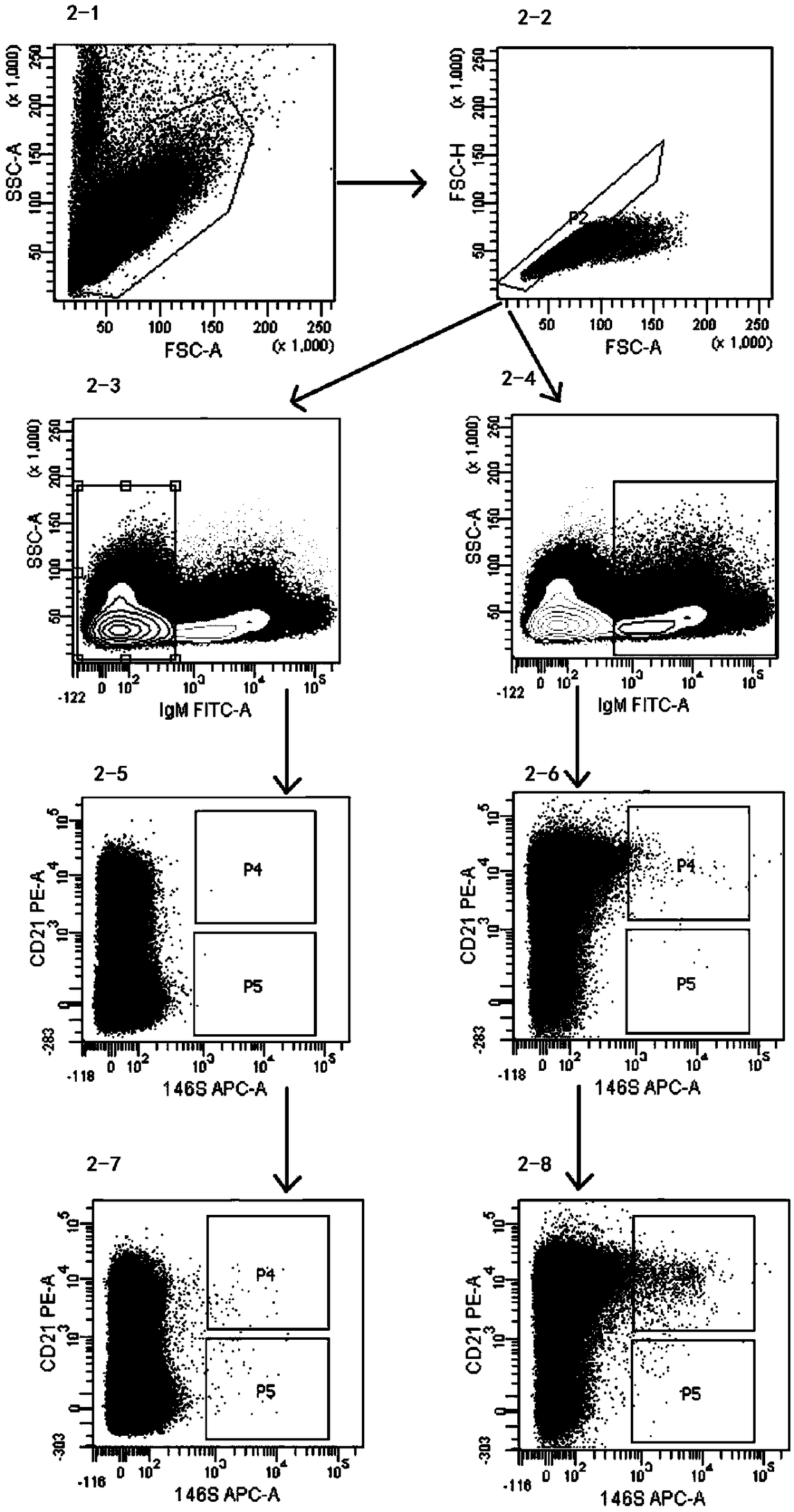 Preparation method for fully-bovine-derived broad-spectrum neutralizing antibody against O-type foot-and-mouth disease viruses