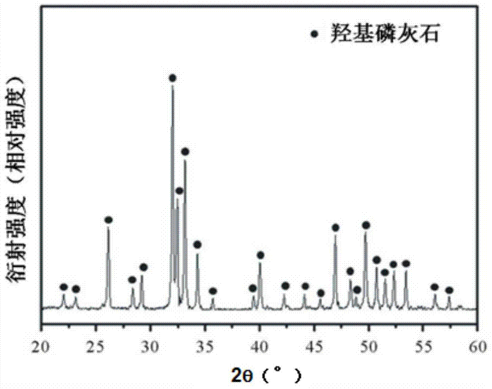 Tuna fishbone meal material, preparation method and application thereof