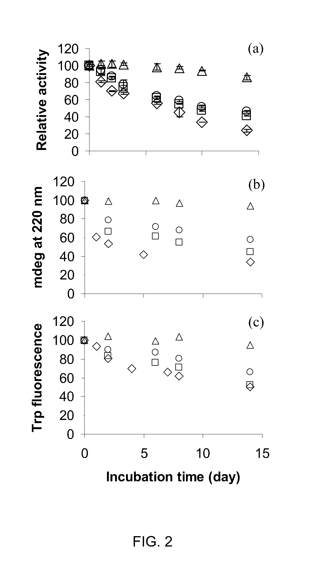 Protein stabilization by domain insertion into a thermophilic protein