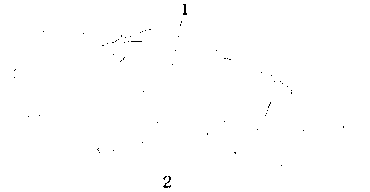 High-palatability combined pet tooth cleaning bone and preparation method thereof