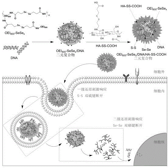 Genetic vector system of nanoparticle with multiple oxidation-reduction stimulus response as well as preparation method and application of genetic vector system