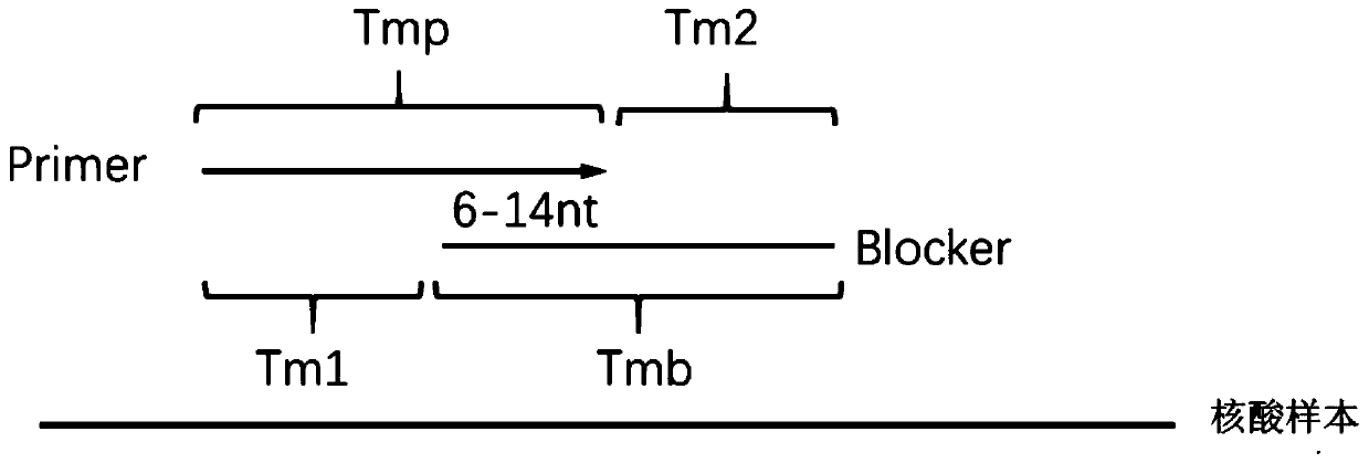 Method for detecting target mutation by carrying out retardation substitution amplification enrichment based on locked nucleic acid modified blocker