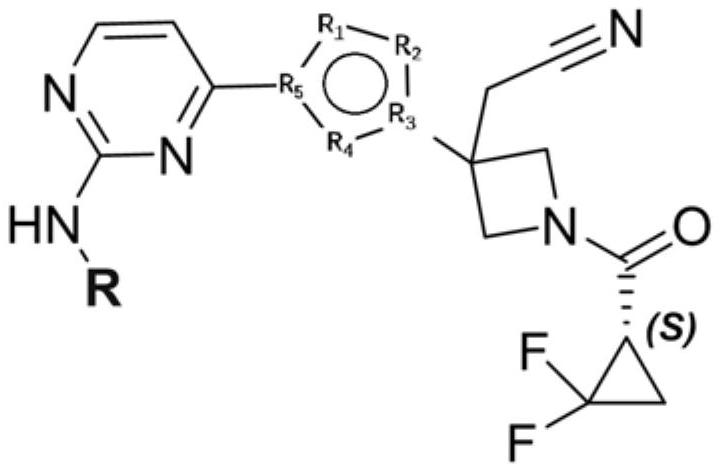 A kind of small molecular compound as jak kinase inhibitor and its use