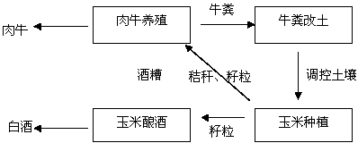 Method for thoroughly improving saline soil by combination of farming and grazing