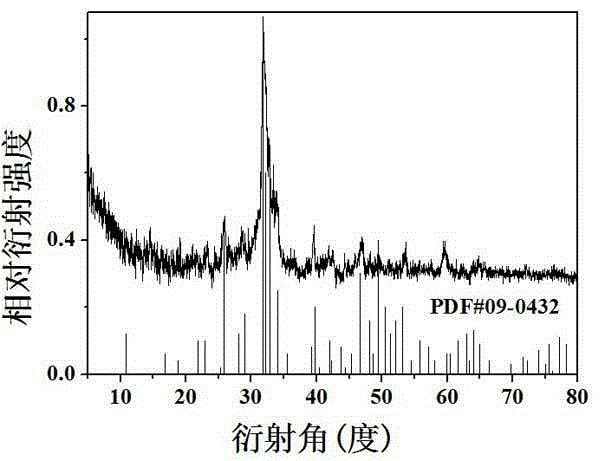 Calcium borate silicate biological material as well as preparation and application thereof