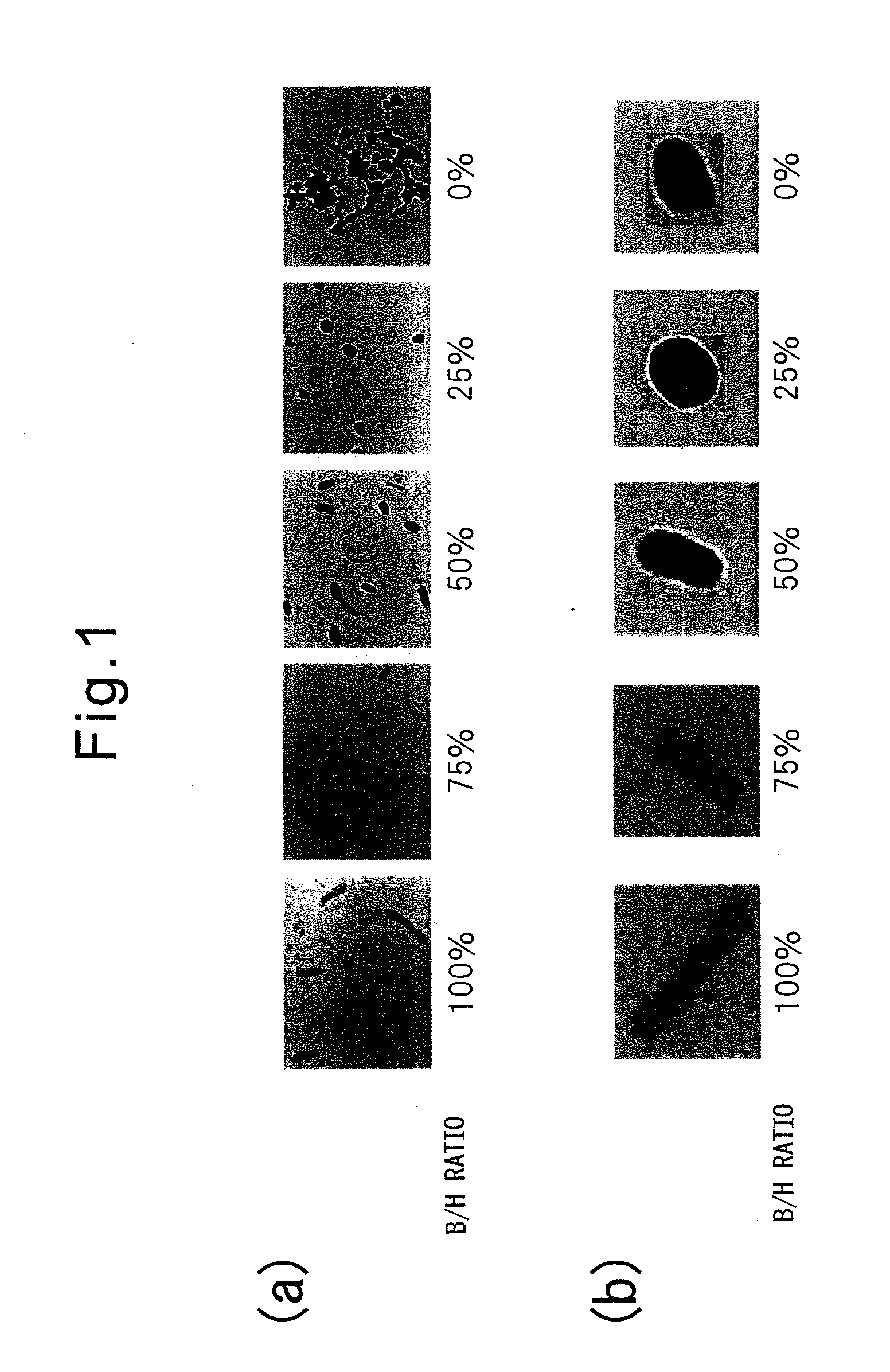Nucleic acid delivery composition and carrier composition, pharmaceutical composition using the same, and method for delivering nucleic acid