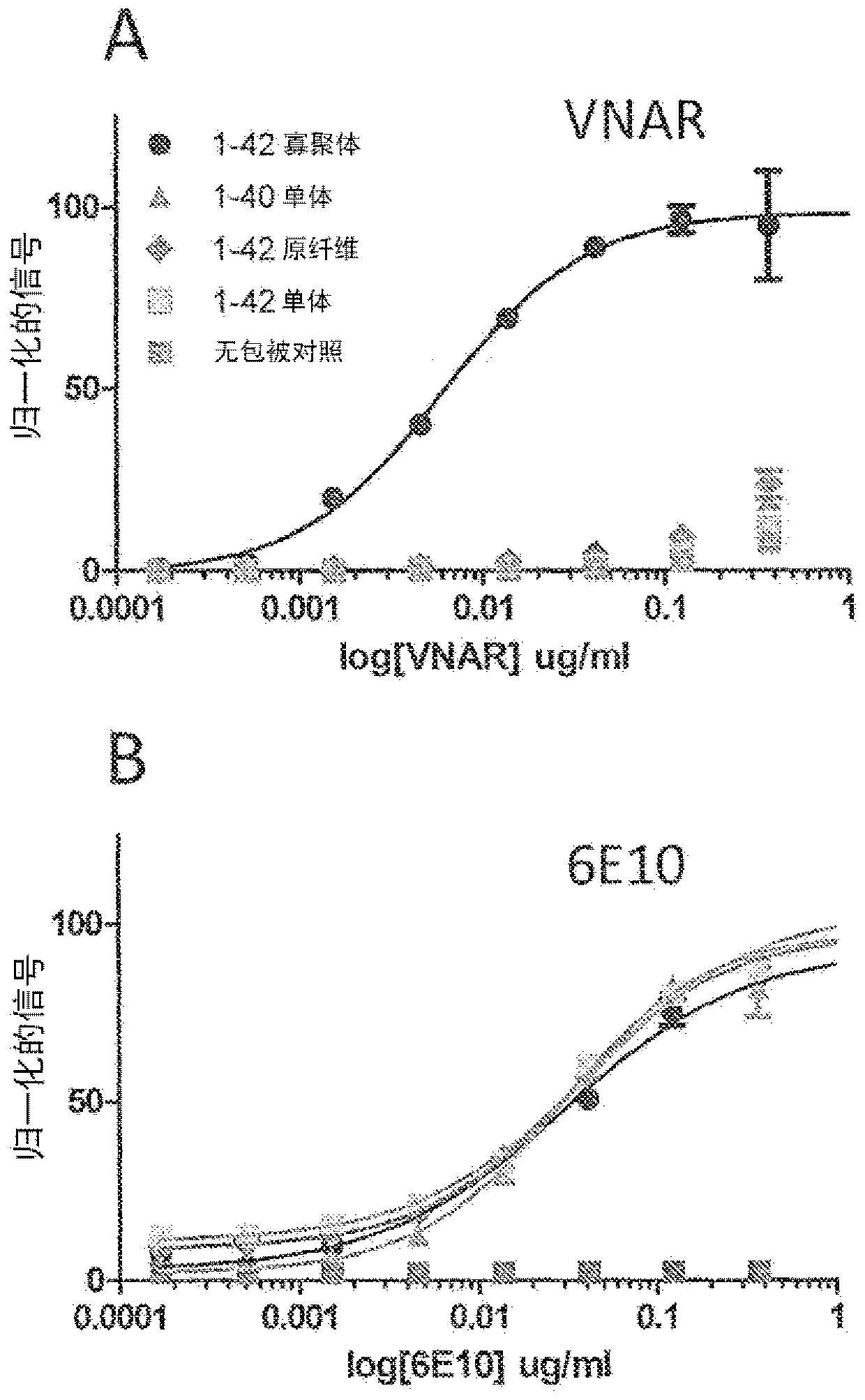 Novel amyloid beta oligomer specific binding molecule