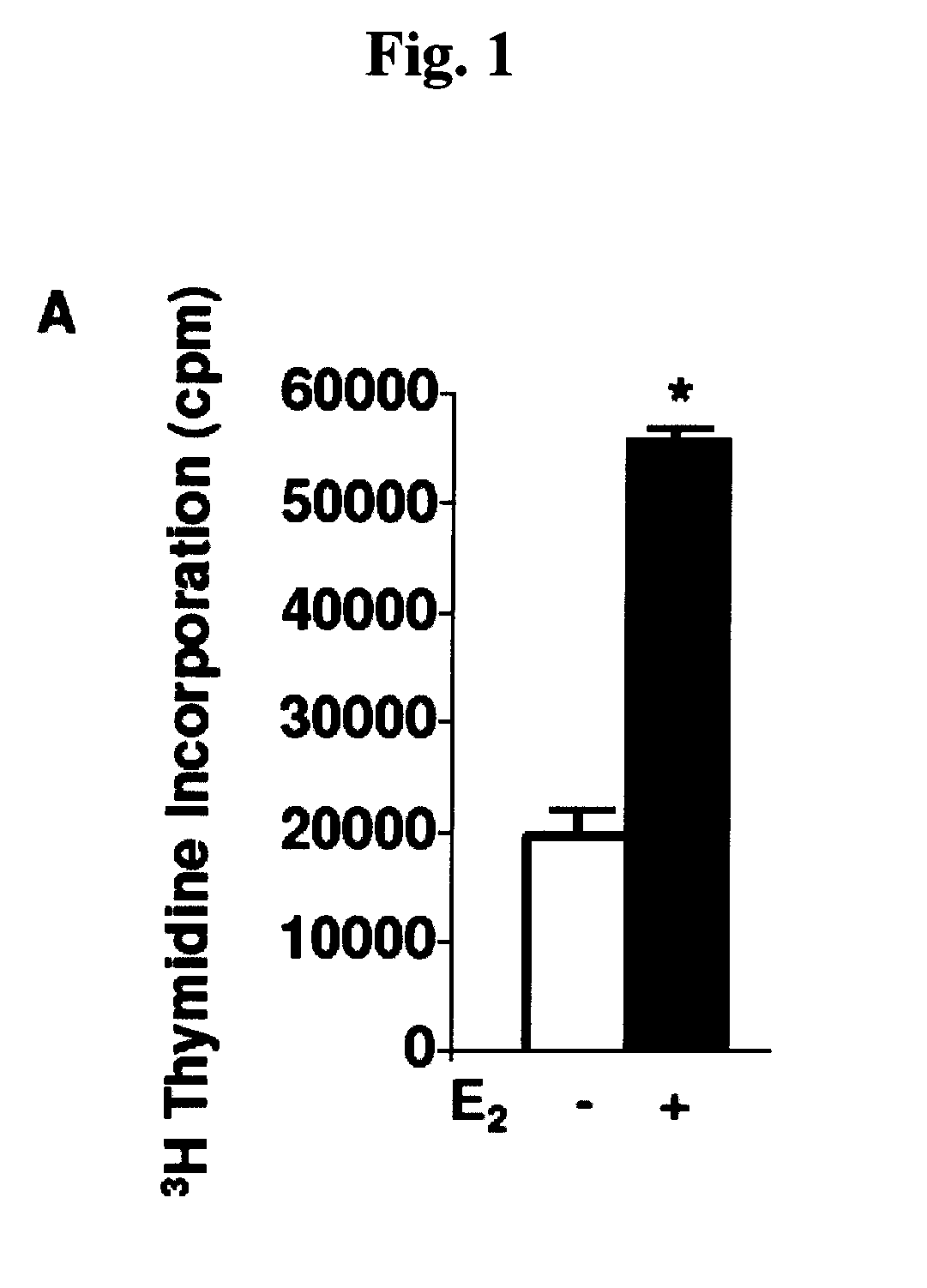 Method for the treatment or prophylaxis of lymphagioleiomymatosis (LAM) and animal model for use in lam research