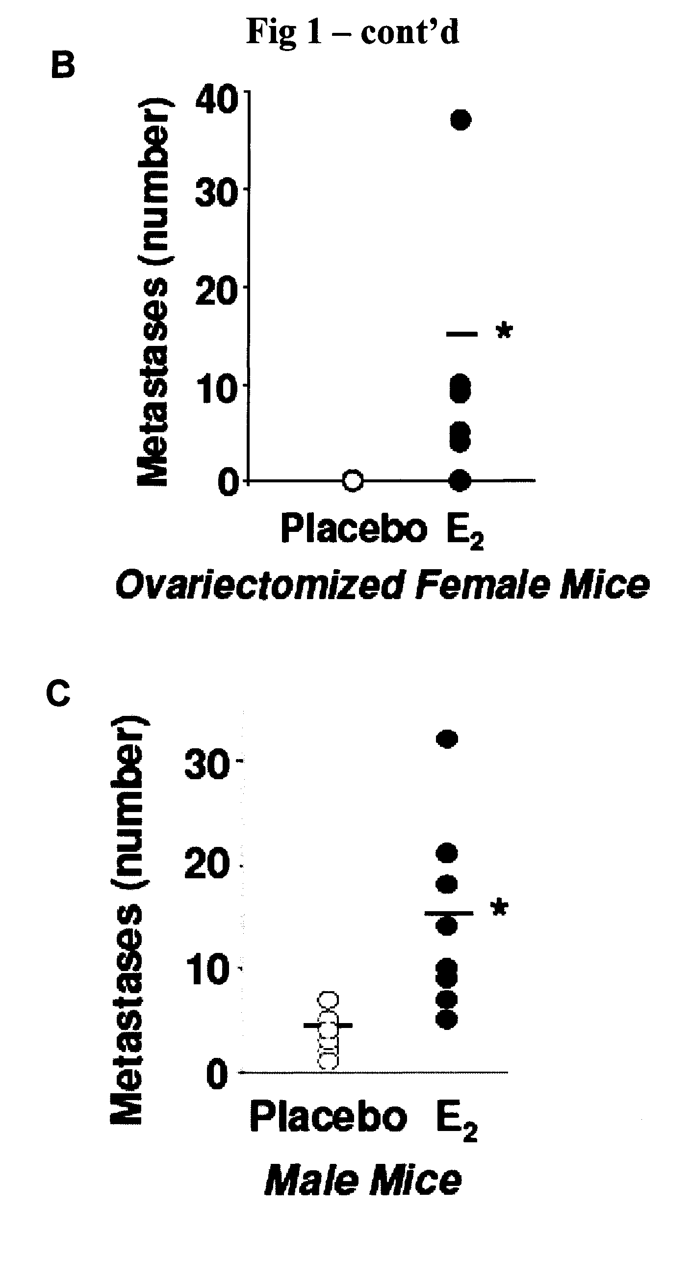 Method for the treatment or prophylaxis of lymphagioleiomymatosis (LAM) and animal model for use in lam research