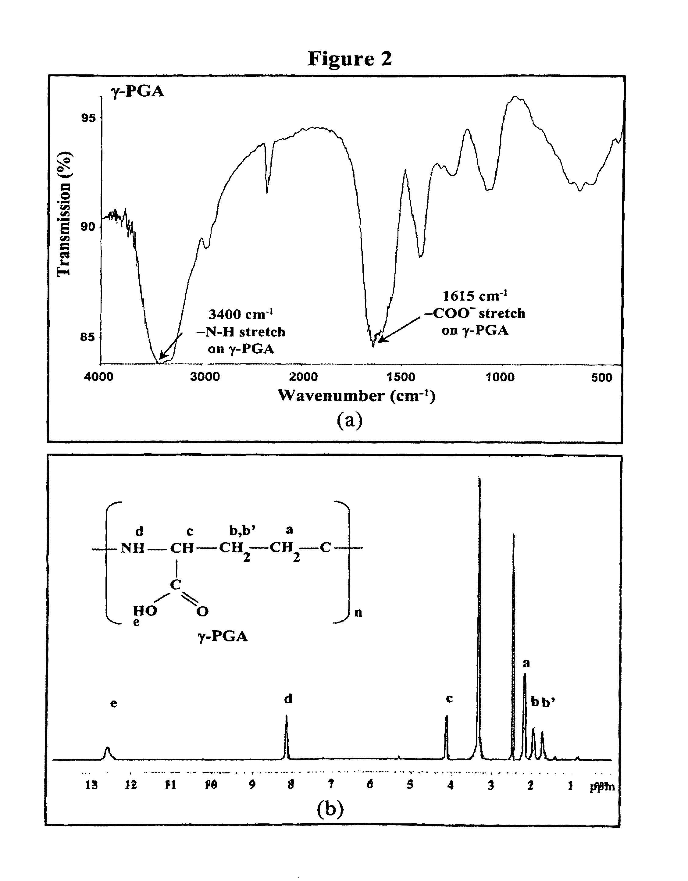 Nanoparticles for protein drug delivery