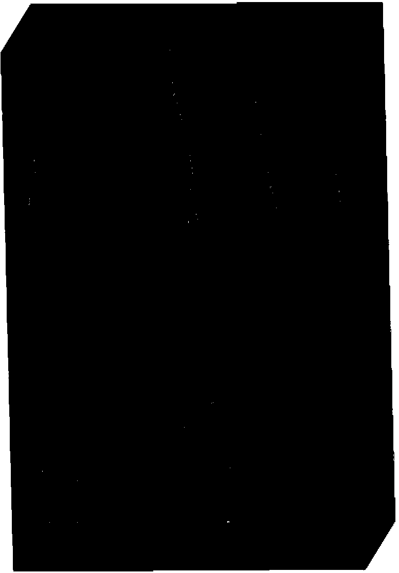 Automatic cell localization method based on minimized model L1