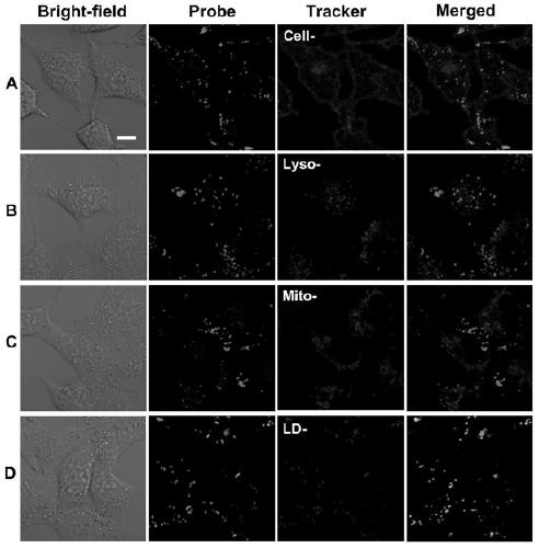 Fluorescent dye for specifically targeting intracellular lipid droplets as well as preparation method and application of fluorescent dye