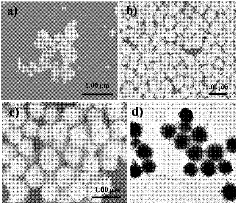 Method for preparing nano/micron gold hierarchical structure material