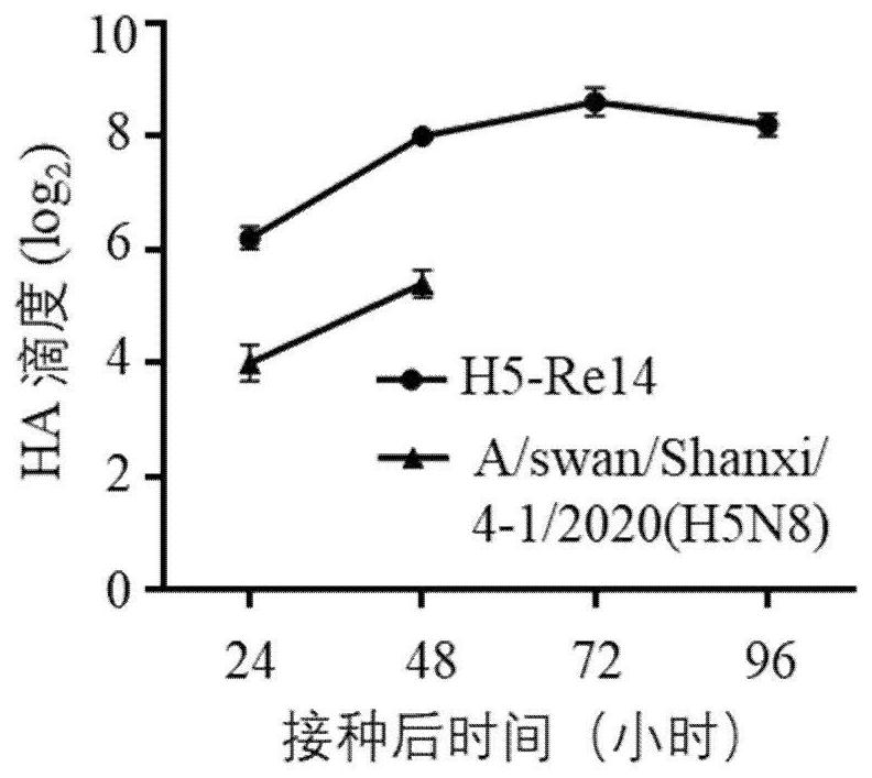 Artificially recombined h5n8 influenza virus and its preparation method and application