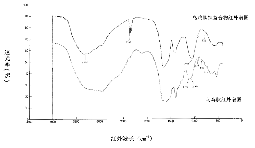 Preparation method of black-bone chicken peptide and iron chelated biological iron supplement