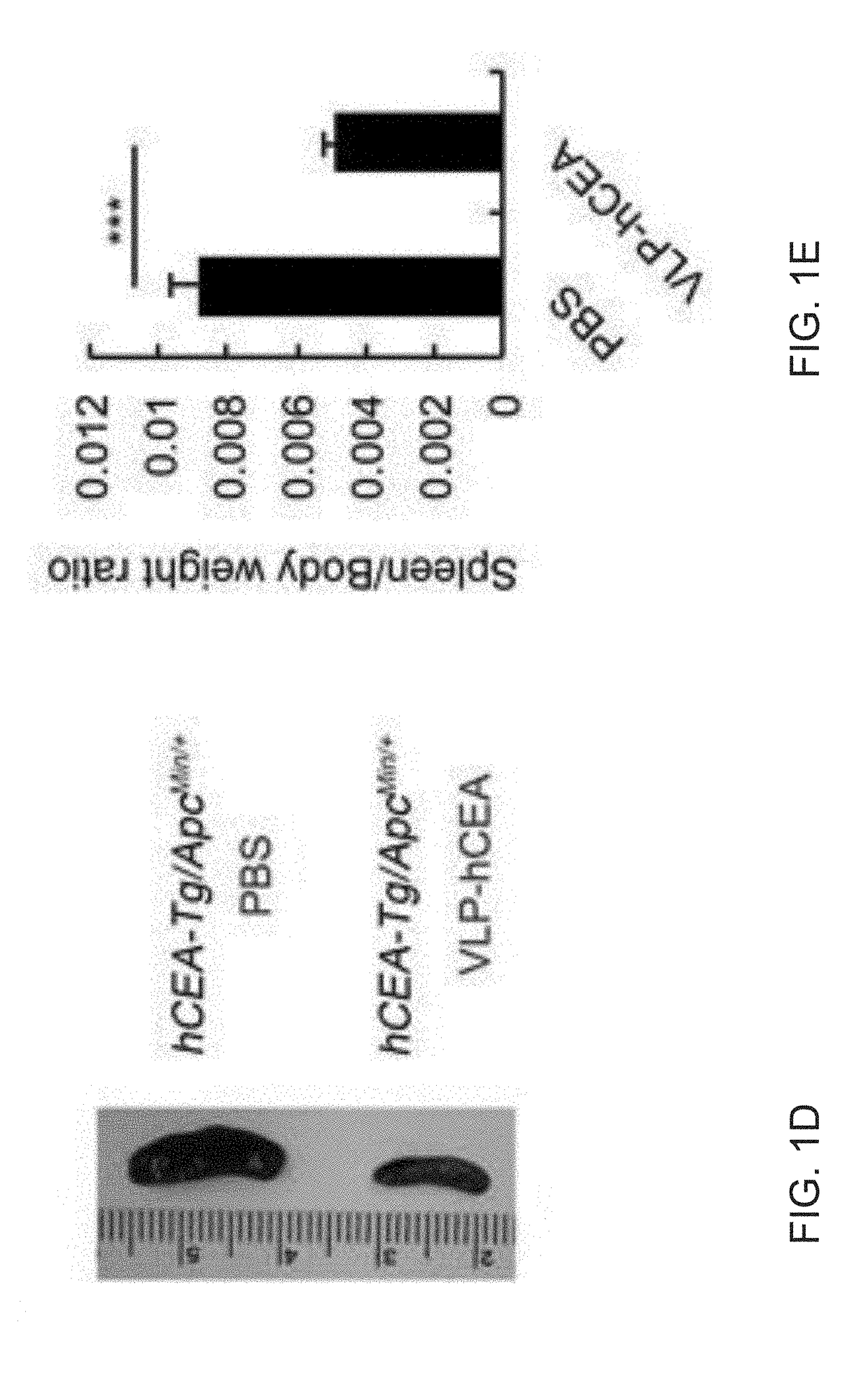 Inflammasome activators and methods of use to treat tumors