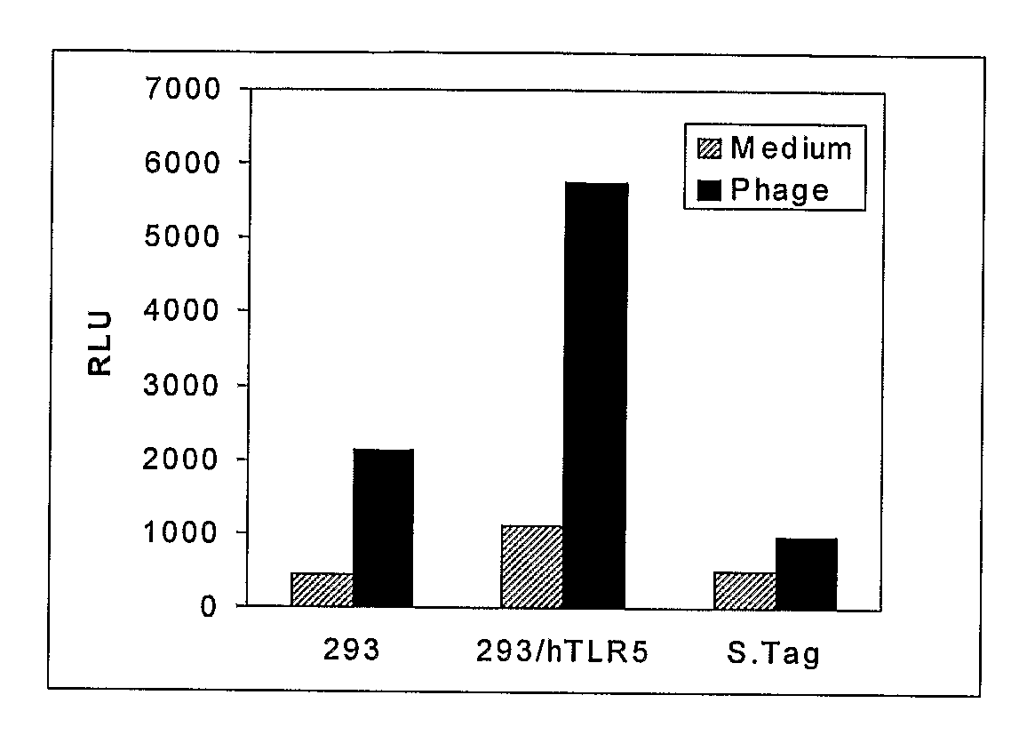 Method to identify polypeptide toll-like receptor (TLR) ligands