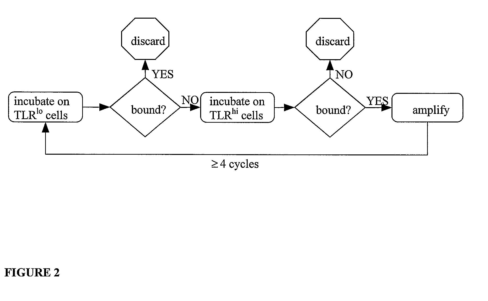 Method to identify polypeptide toll-like receptor (TLR) ligands